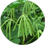 Gyrenta Vegatable_crops Cowpea