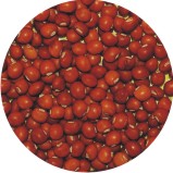  Gyrenta Vegatable_crops Red
