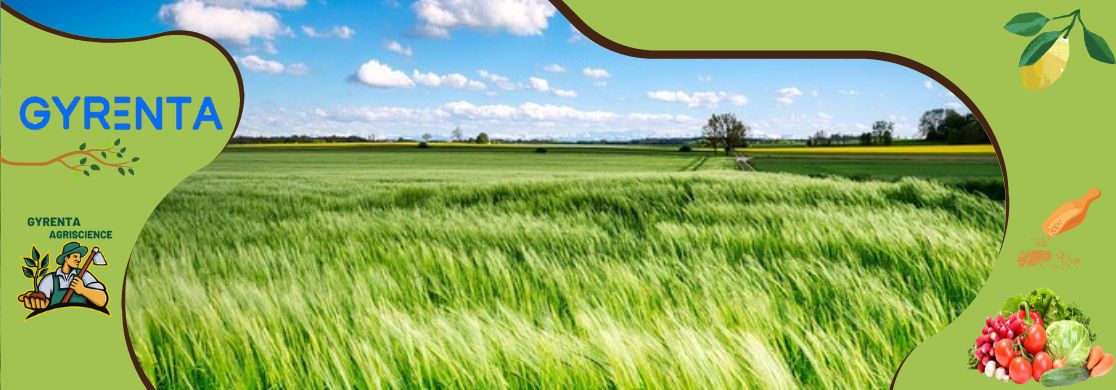 gyrenta banner img